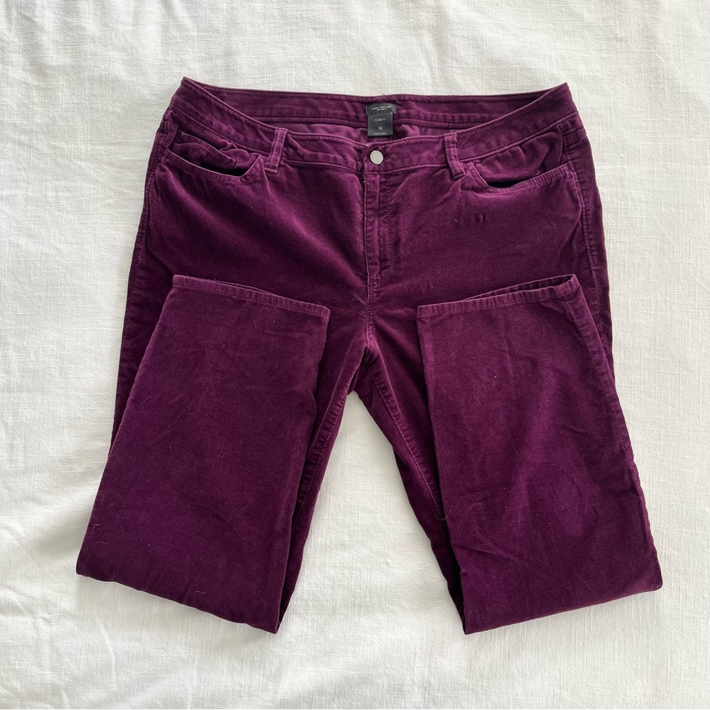 Ann Taylor Factory Velvet Burgundy Pants Size 16 Curvy